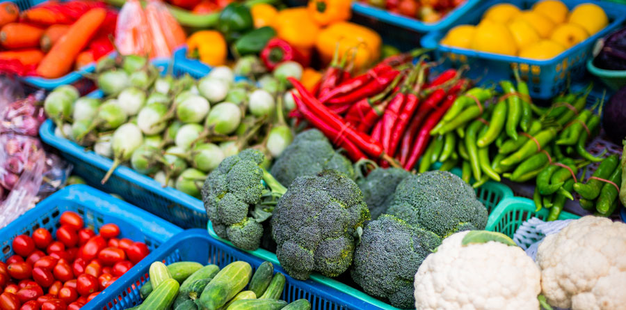 The Power of Pigment: Building A Colorful Plate