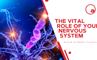 Your Health: Going Beyond What We See